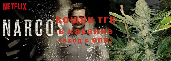 прущий лед Арсеньев