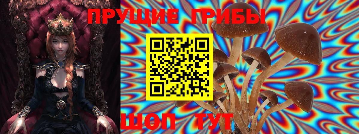 Псилоцибиновые грибы прущие грибы  Вход с VPN  Коломна 